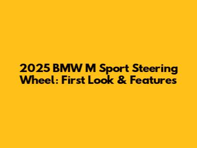 2025 BMW M Sport Steering Wheel: First Look & Features