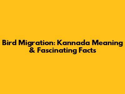 Bird Migration: Kannada Meaning & Fascinating Facts