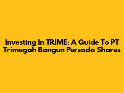 Investing In TRIME: A Guide To PT Trimegah Bangun Persada Shares