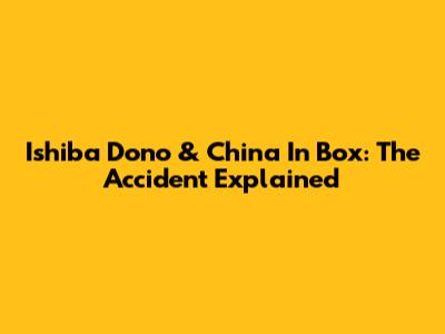 Ishiba Dono & China In Box: The Accident Explained