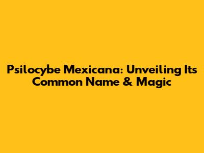 Psilocybe Mexicana: Unveiling Its Common Name & Magic